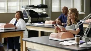 Grey's Anatomy 9. sezon 13. bölüm