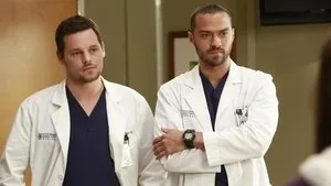 Grey's Anatomy 9. sezon 14. bölüm