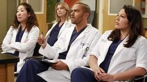 Grey's Anatomy 9. sezon 20. bölüm