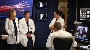 Grey's Anatomy 9. sezon 9. bölüm