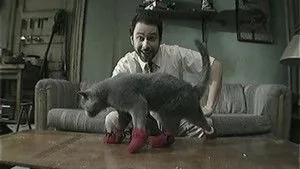 It's Always Sunny in Philadelphia 5. sezon 8. bölüm
