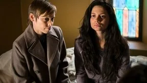 Law & Order: Special Victims Unit 17. sezon 17. bölüm