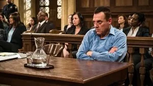 Law & Order: Special Victims Unit 17. sezon 9. bölüm