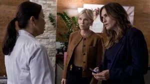 Law & Order: Special Victims Unit 26. sezon 3. bölüm