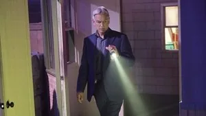 NCIS 13. sezon 21. bölüm