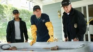NCIS 16. sezon 2. bölüm