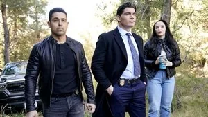 NCIS 22. sezon 15. bölüm