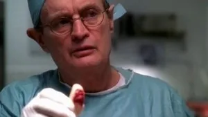 NCIS 2. sezon 13. bölüm