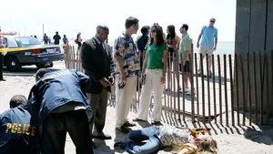NCIS 5. sezon 19. bölüm