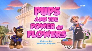 PAW Patrol 11. sezon 34. bölüm
