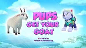 PAW Patrol 11. sezon 5. bölüm