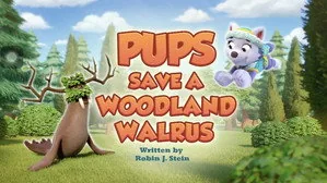 PAW Patrol 13. sezon 11. bölüm