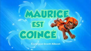 PAW Patrol 1. sezon 18. bölüm