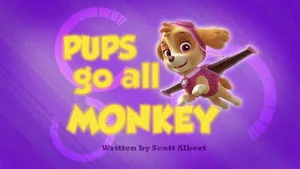 PAW Patrol 1. sezon 35. bölüm