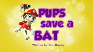 PAW Patrol 1. sezon 37. bölüm