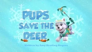 PAW Patrol 2. sezon 22. bölüm