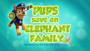 PAW Patrol 2. sezon 29. bölüm