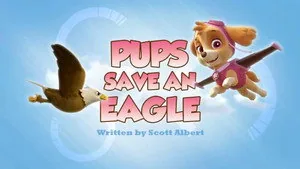 PAW Patrol 2. sezon 45. bölüm