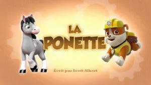 PAW Patrol 3. sezon 24. bölüm