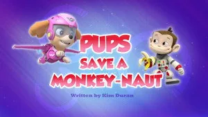 PAW Patrol 3. sezon 33. bölüm