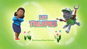 PAW Patrol 3. sezon 35. bölüm