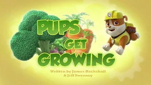 PAW Patrol 3. sezon 36. bölüm