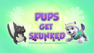 PAW Patrol 3. sezon 42. bölüm