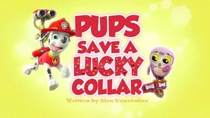 PAW Patrol 3. sezon 6. bölüm