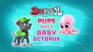 PAW Patrol 4. sezon 17. bölüm