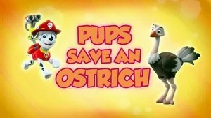PAW Patrol 5. sezon 2. bölüm