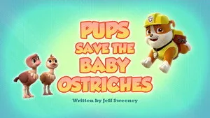 PAW Patrol 6. sezon 12. bölüm