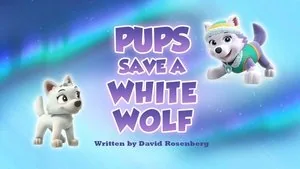 PAW Patrol 6. sezon 37. bölüm