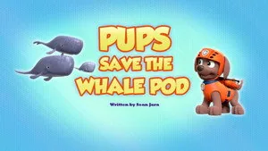 PAW Patrol 7. sezon 36. bölüm