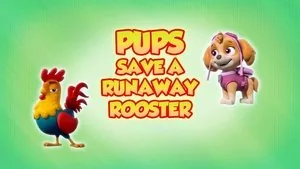 PAW Patrol 8. sezon 1. bölüm