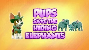 PAW Patrol 8. sezon 18. bölüm
