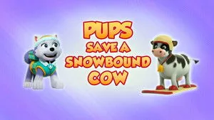 PAW Patrol 8. sezon 2. bölüm