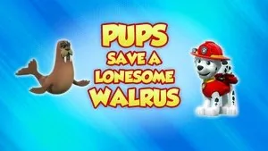 PAW Patrol 8. sezon 40. bölüm