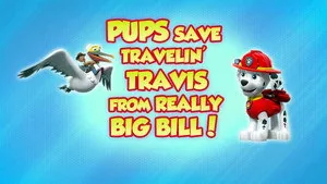 PAW Patrol 8. sezon 45. bölüm