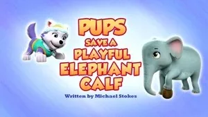 PAW Patrol 9. sezon 21. bölüm