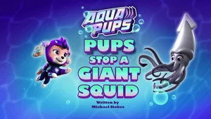 PAW Patrol 9. sezon 27. bölüm