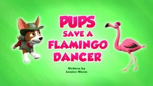 PAW Patrol 9. sezon 40. bölüm