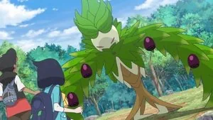 Pokémon Yeni Ufuklar: Dizi 1. sezon 11. bölüm
