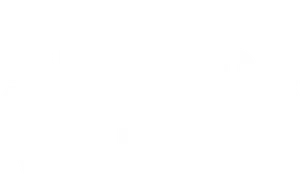 A Shop for Killers