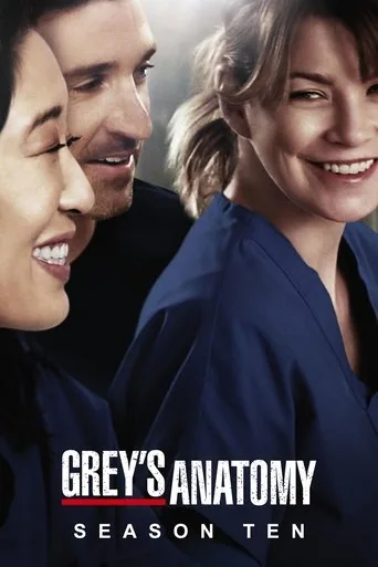 Grey's Anatomy 10. sezon