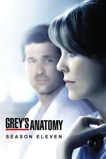 Grey's Anatomy 11. sezon