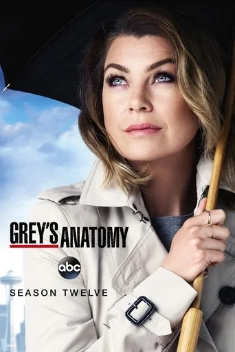 Grey's Anatomy 12. sezon