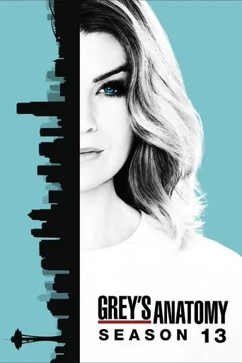 Grey's Anatomy 13. sezon