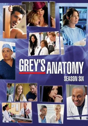 Grey's Anatomy 6. sezon