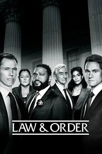 Law & Order 21. sezon