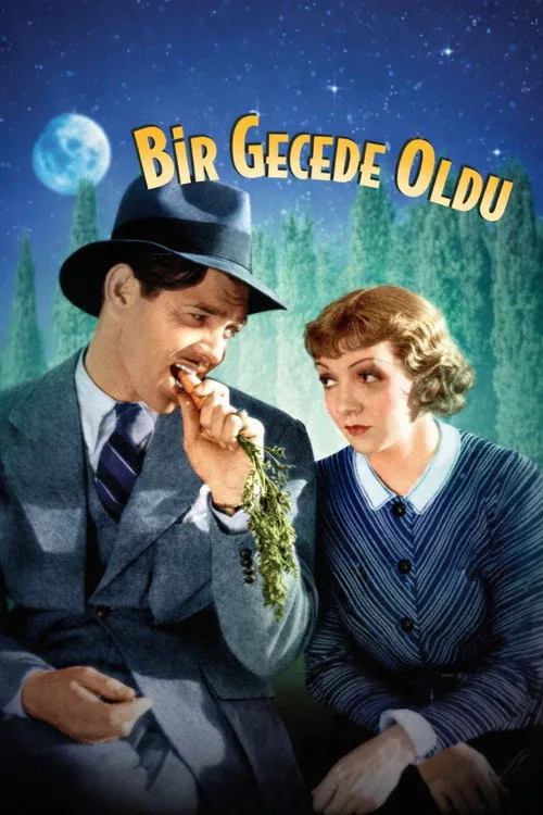 Bir Gecede Oldu film afişi